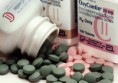 /album/photogallery/oxycontin1-jpg/